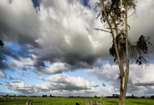 半场战报:巴拉圭-智利,卢卡斯-塞佩达多次造险.