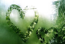 [图]阿莱梅开二度布兰特建功 多特蒙德重夺德甲榜首.