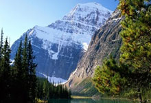 周继红,中国跳水权力场铁娘子,用东方智慧在西方体育霸权中撕开裂缝.