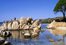 锡安29+8鹈鹕险胜森林狼 马刺主场战胜尼克斯.